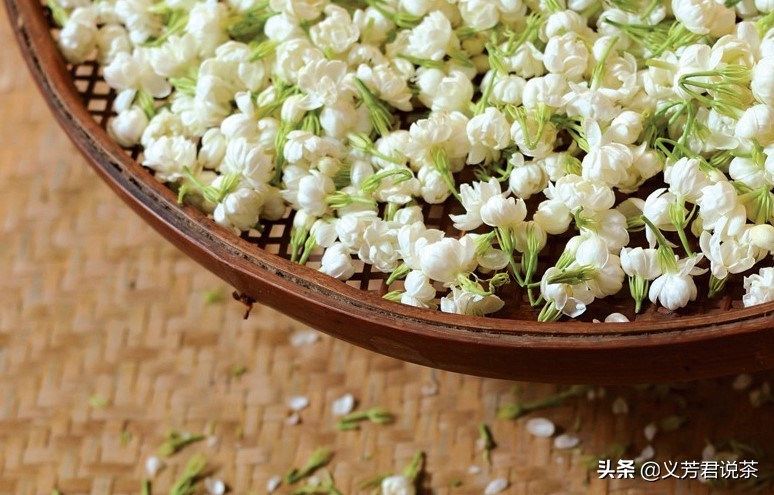 茉莉花茶为什么是低端茶,茶圈鄙视链白茶什么段位