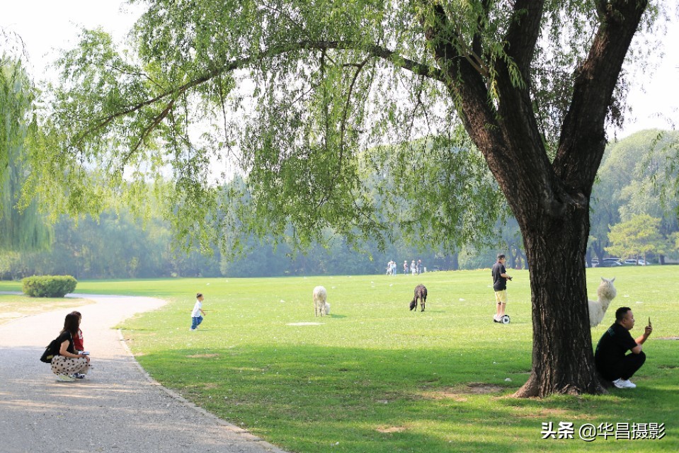北京紫玉山庄简介,北京紫玉山庄公园