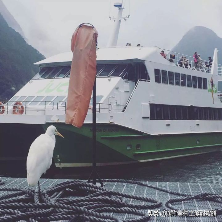 十大最累最赚钱的工作,哪些比较赚钱的工作可以在家做