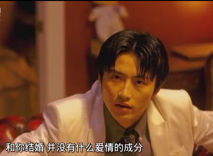 日版和台湾版流星花园,新流星花园在日本反响