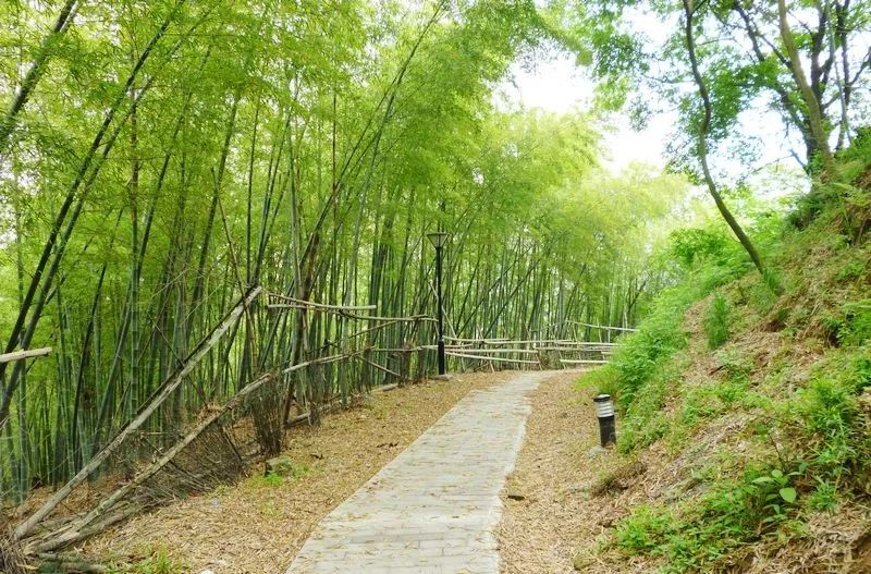 爬完所有雪山就释怀,爬完所有的名山