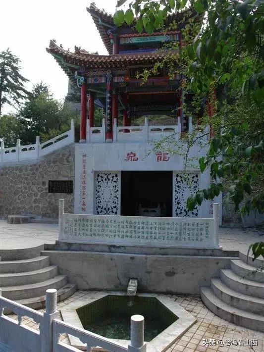 山西忻州静乐天地藜麦,山西静乐县杂粮