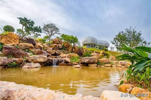 深圳中心公园足球场,深圳中心公园大草坪