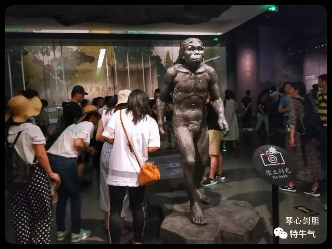 赤金走龙陕西历史博物馆,陕西历史博物馆抢票攻略