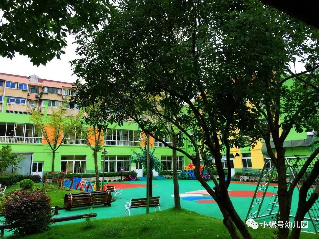 5年1户?上海这15所公办园“矛盾突出”!“报出生”也可能被统筹