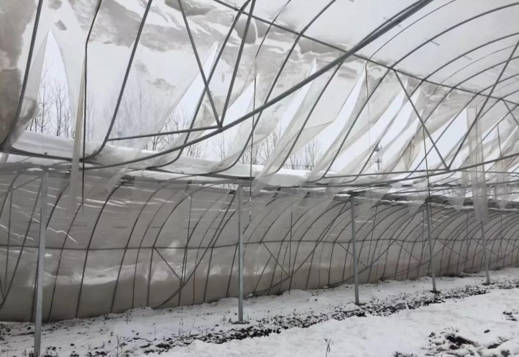 浴血奋战严寒,内蒙古通辽遭遇雪灾