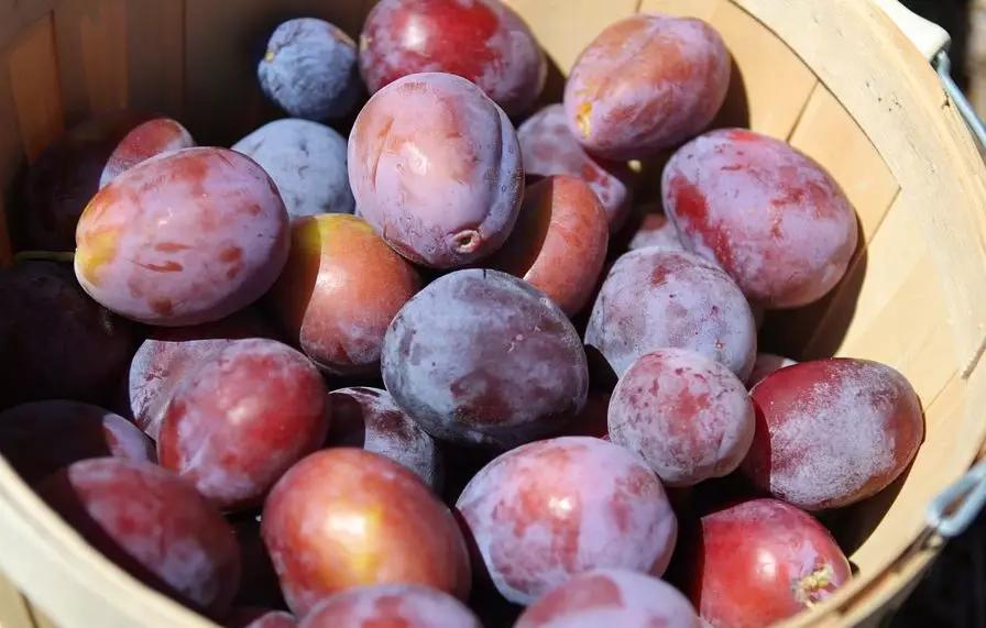 60岁以上一天排便几次正常,二月龄宝宝一天排便几次正常