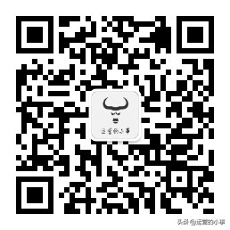 网红是怎样红的,一炮而红的网红