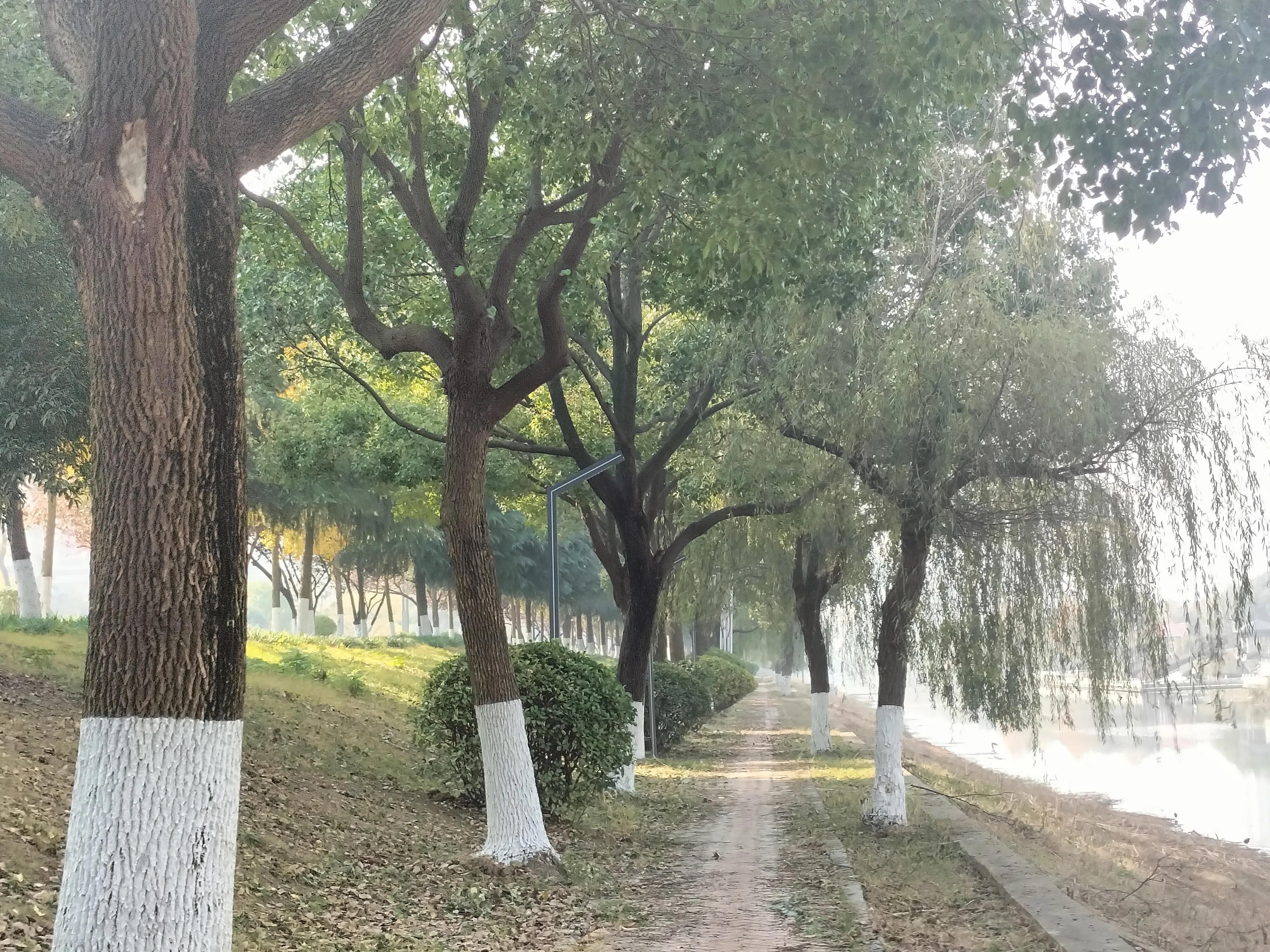 创业成功人士必备能力,创业人必须具备的能力