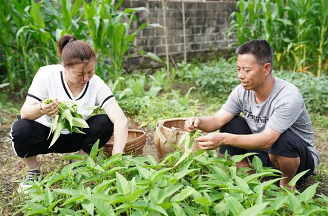 安徽兵王仅初中文化，入伍34年有召必回，退役后女儿继承父业