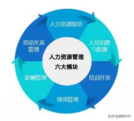 人力资源管理系统哪家好,人力资源管理系统的主要功能