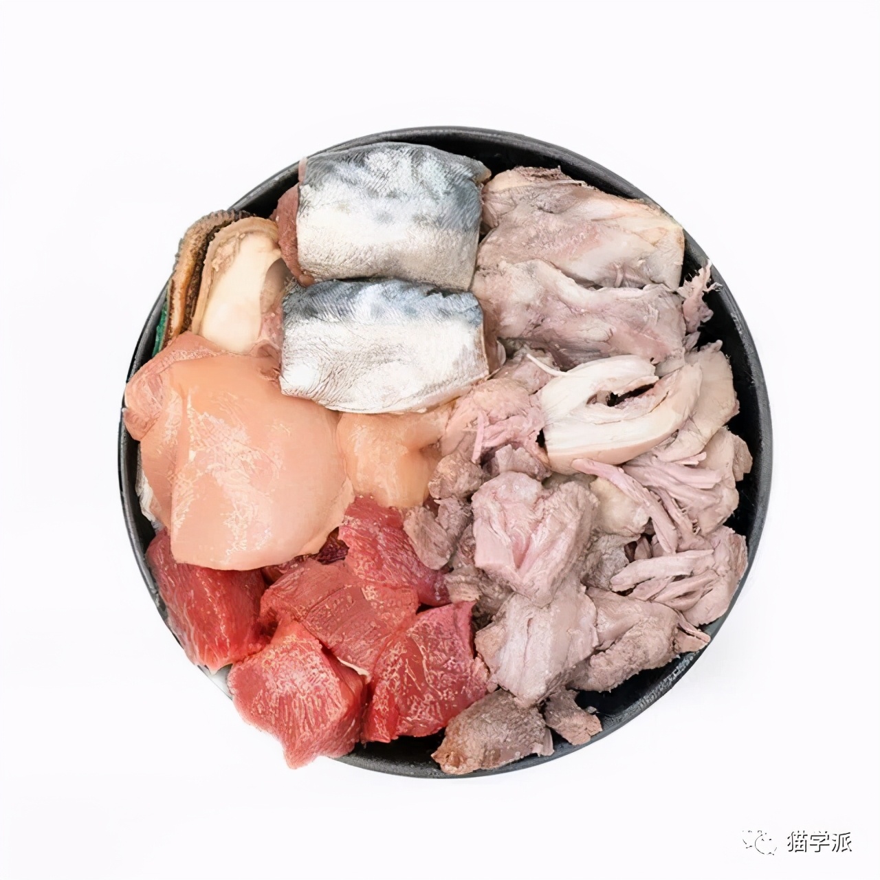 猫增加食欲,猫饿瘦的只剩骨头怎么给他增肥