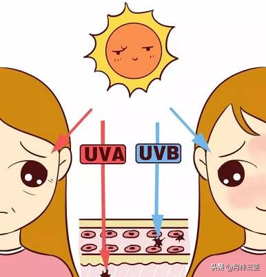 这才是真正的好用防晒霜,防晒超重要夏天防晒霜你用对了吗