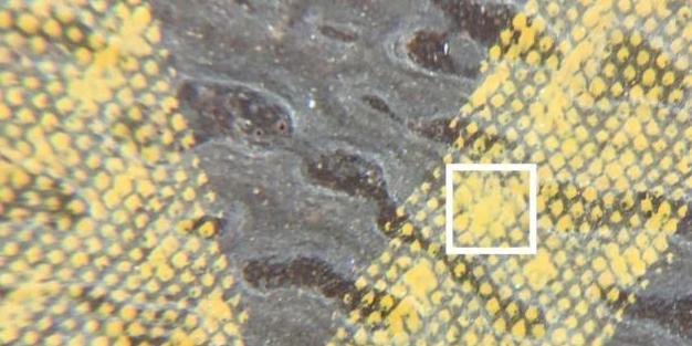 lvnanonoe水桶包真假鉴定,奢侈品鉴定lv购物袋