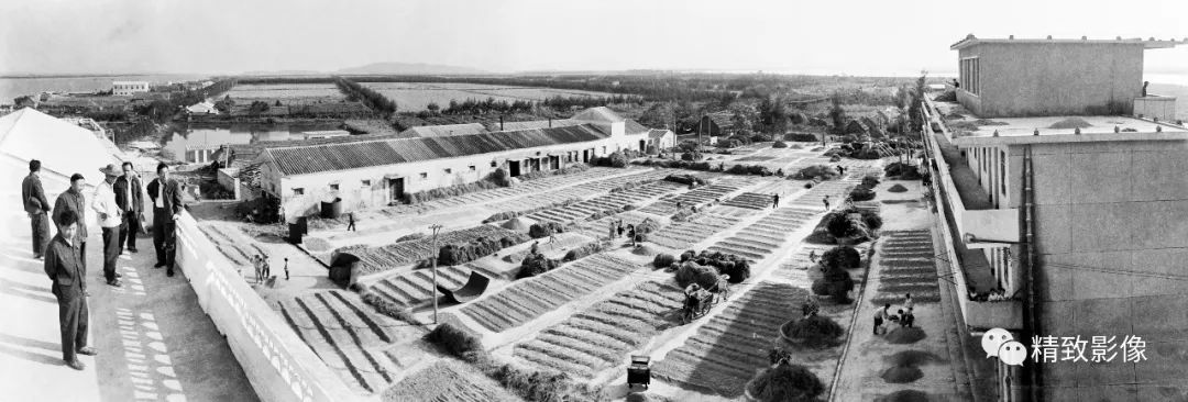 拾光汇影|第六期·珠海斗门白藤湖