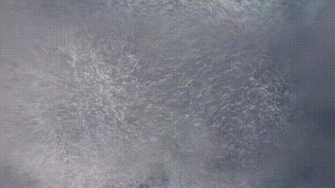 显微镜下的人类卵子和精子,人类首次拍到卵细胞