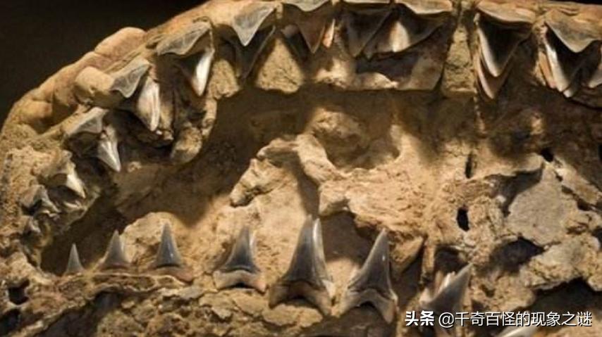 北海是最大的淡水湖泊吗,北海最深的淡水湖