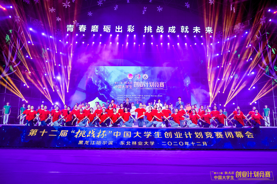 大学生挑战杯创业类作品,挑战杯大学生创业计划竞赛作品