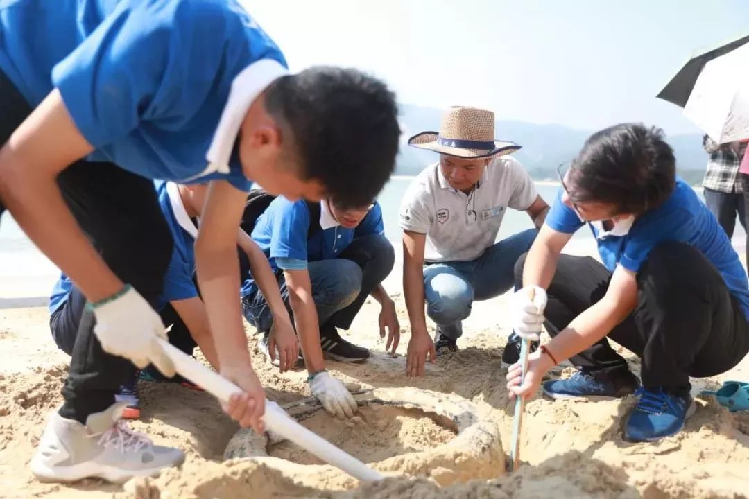 铚堟敮娲插矝娴锋磱缁存姢,铚堟敮娲插矝淇濇姢娴锋磱鐜