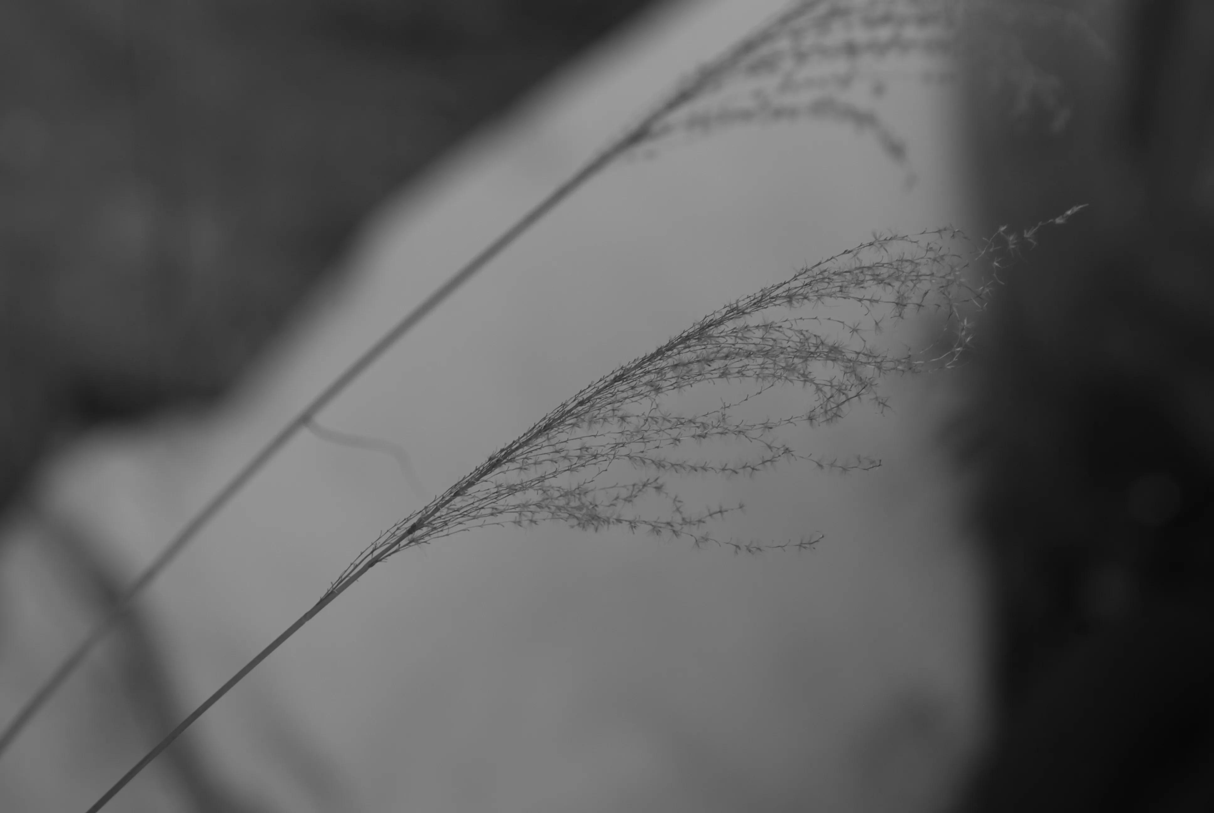 1000多的二手单反值得买吗,1000元左右二手单反全画幅