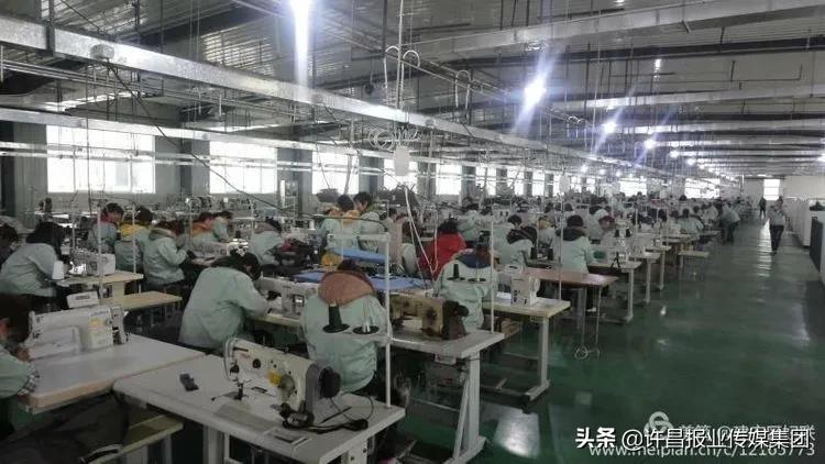 许昌鄢陵服装厂最新招聘,许昌服装厂招工最新招聘附近