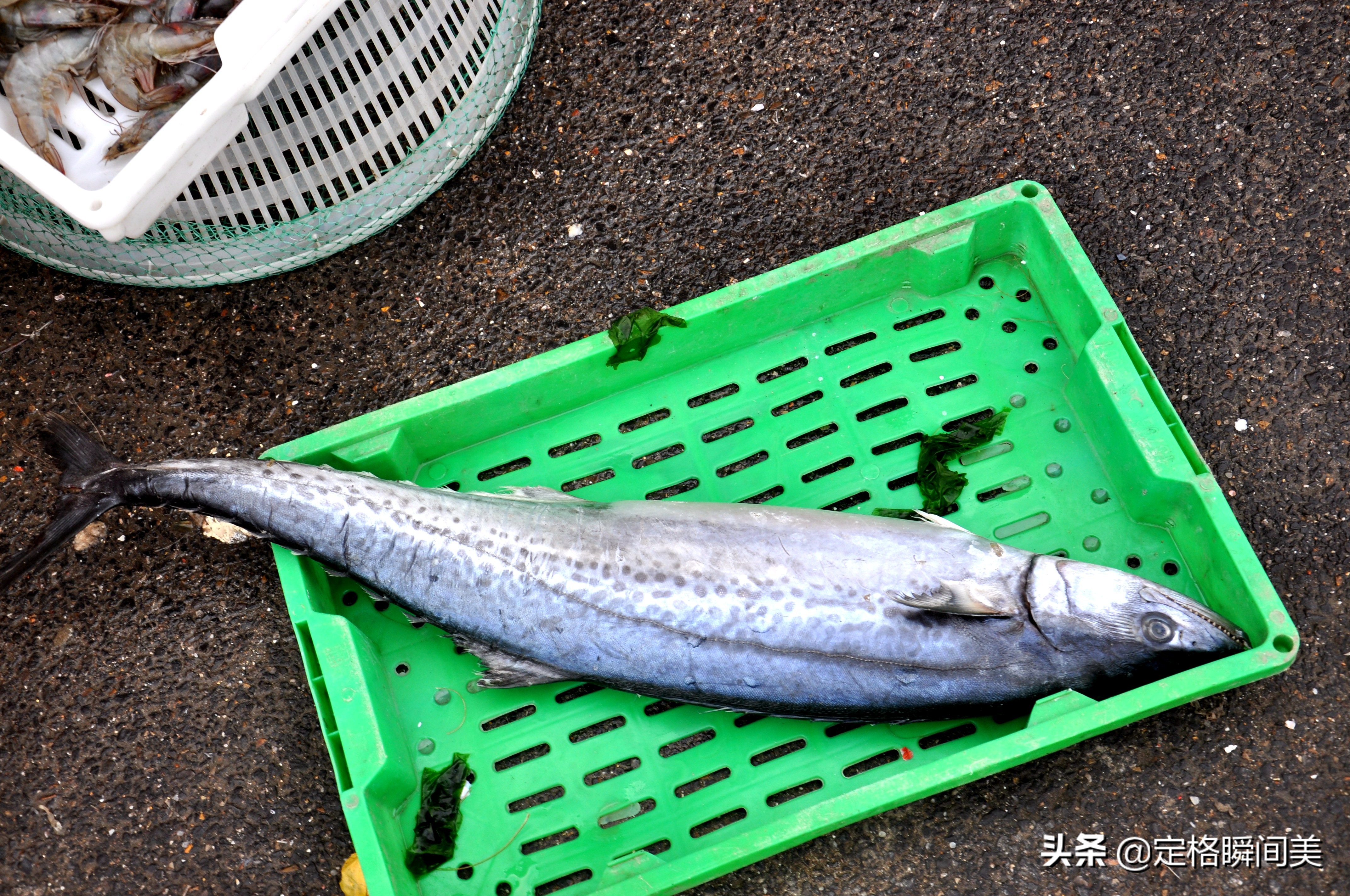 青岛哪个码头海鲜便宜又好,青岛海鲜码头海鲜