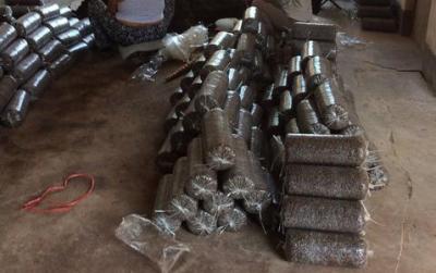 香菇养菌期间管理技术,香菇养菌室点菌接种后的管理方法