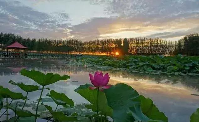 保定市里旅游景点排名第一,保定风景好的旅游景点详细的介绍