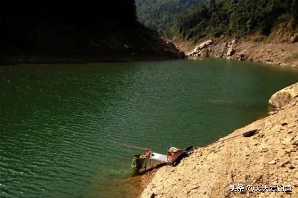 惊蛰怎样的天气好钓鲫鱼,清明阴雨天还能野钓鲫鱼吗