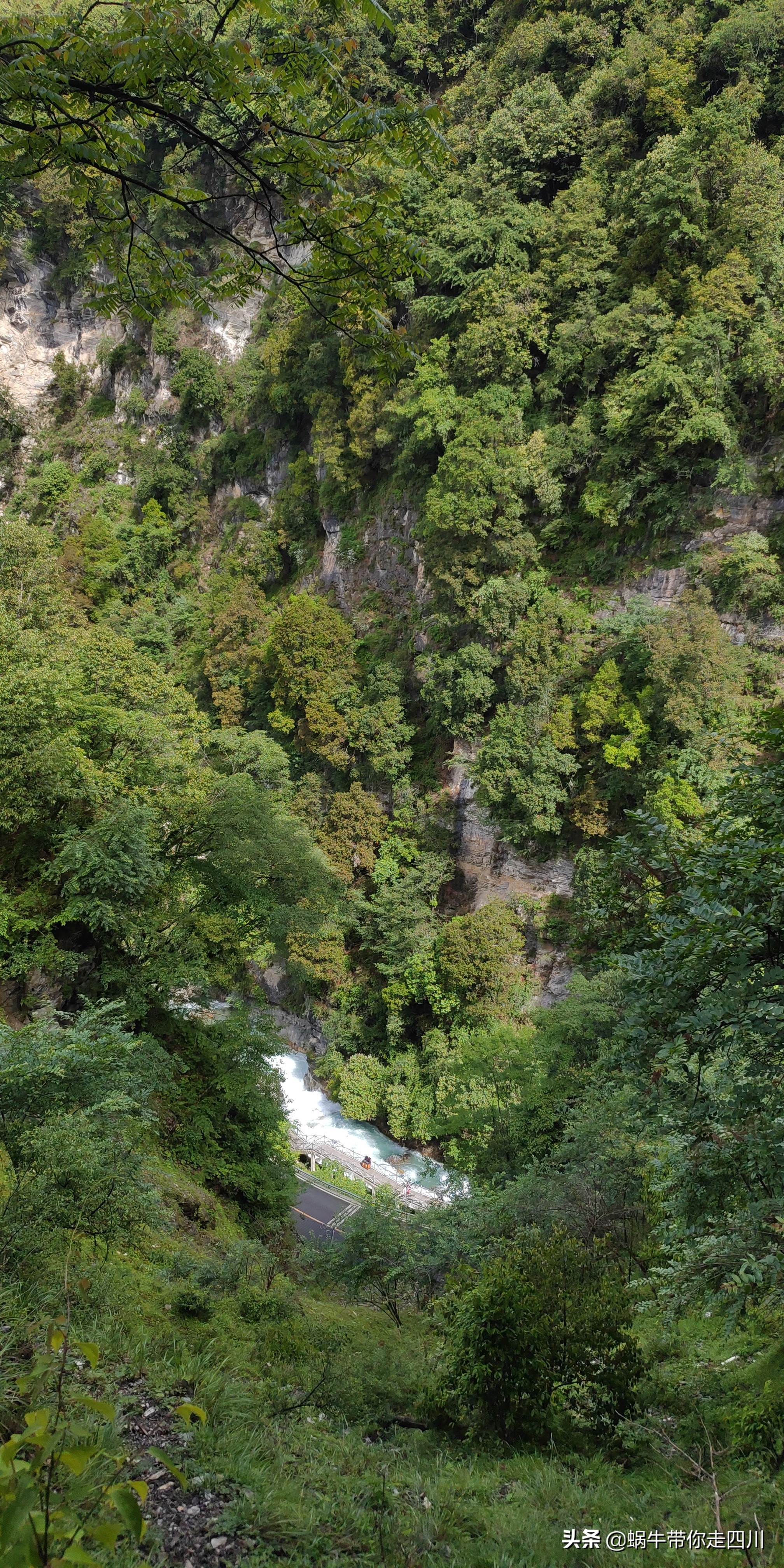 带小朋友出去看小动物,带小孩去海洋动物园