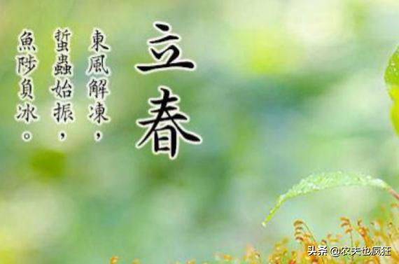 一年两立春是什么年,2022年立春和春节分别是哪一天