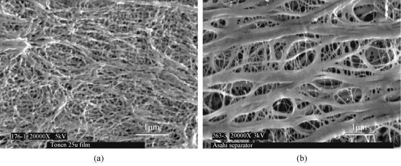 黄昊最强大脑,黄昊简介