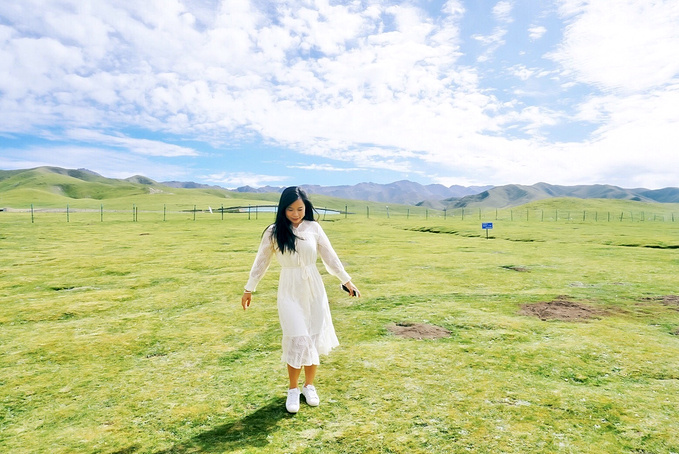 去一趟大西北的旅行,大西北旅行青藏高原