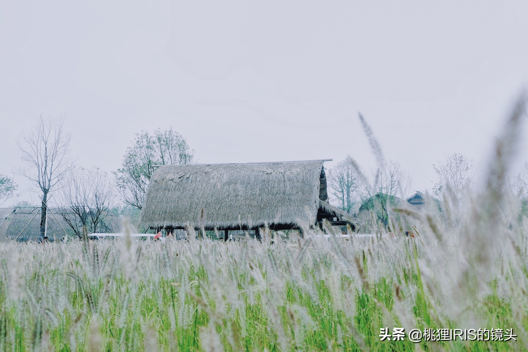 杭州小济州岛春游野营度假,良渚小奈良一日游