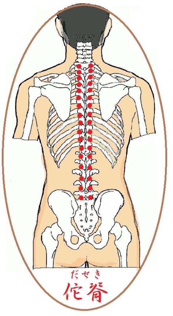 华佗夹脊穴位置最简单的找法,华佗夹脊穴在什么地方