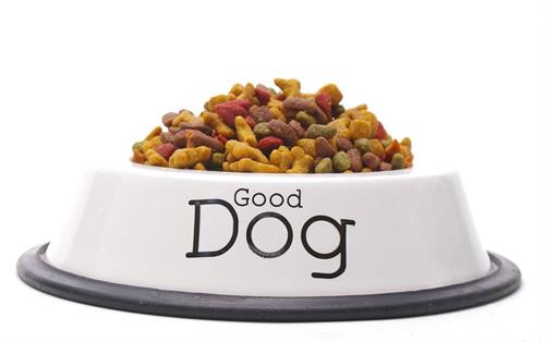 狗狗例假突然不吃饭了没精神,狗狗例假不爱动正常吗