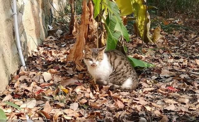 苏州地区比较有特色的旅游景点,苏州地方景点