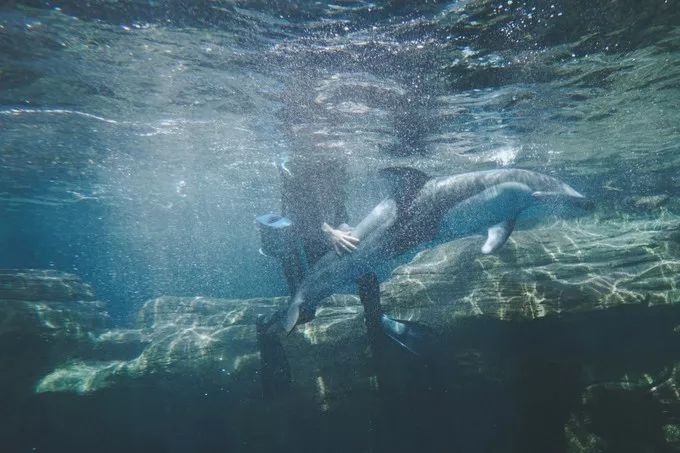 不一样的大阪三日游,瑠璃一束光,值得一来再来