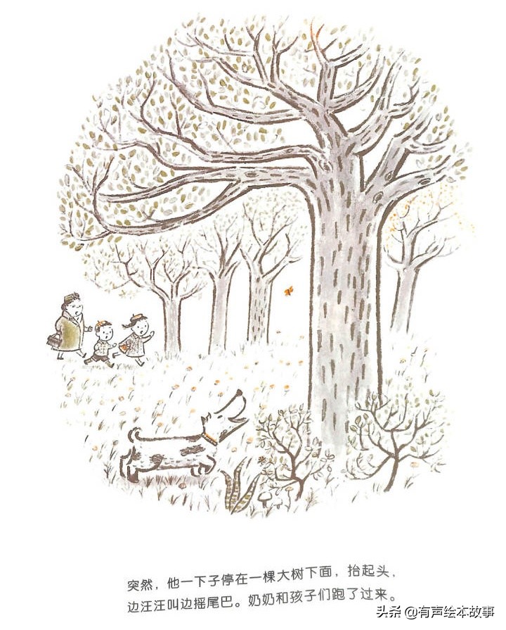 儿童故事哈利的花毛衣,哈利不可以有声绘本故事