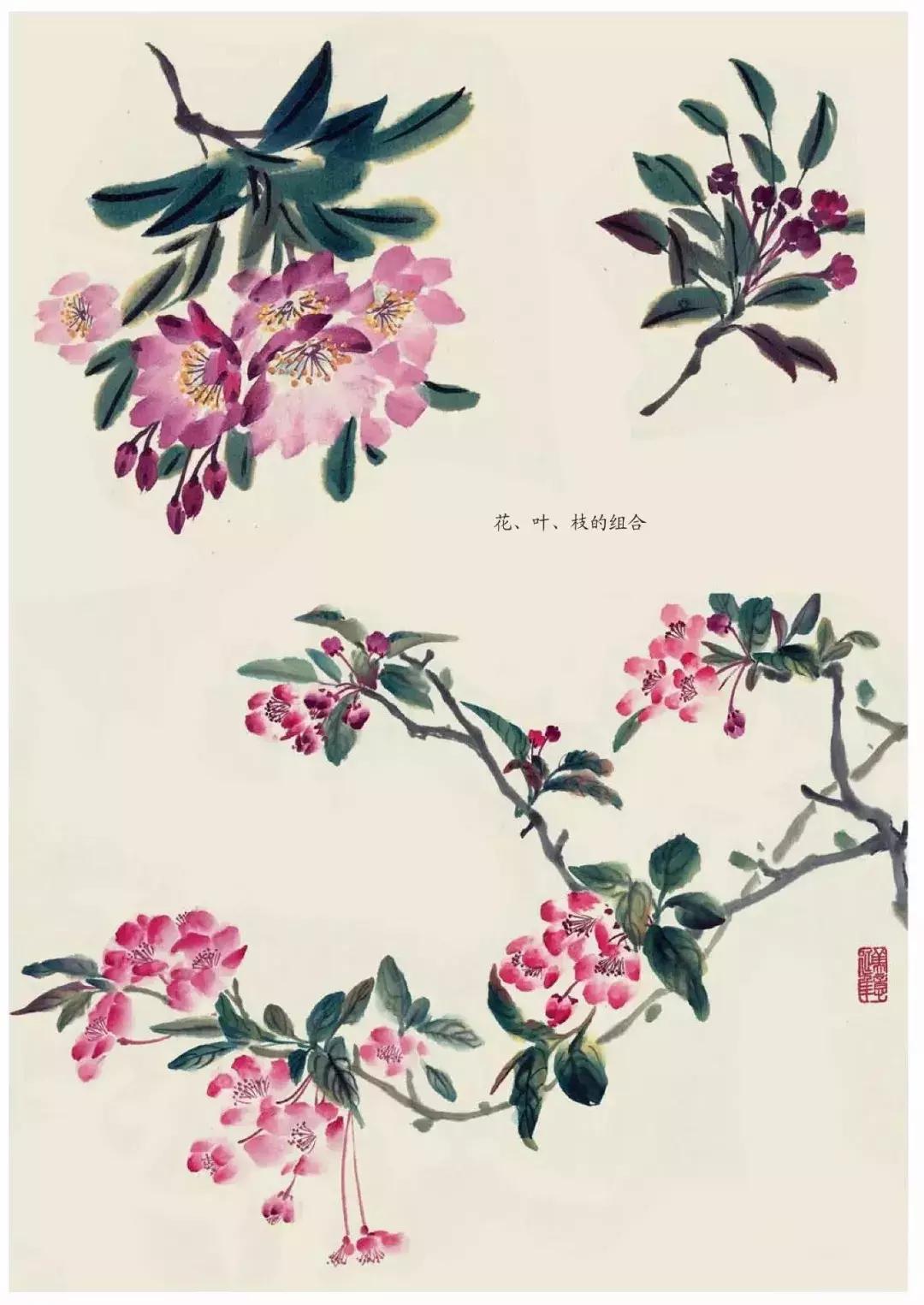 国画中各种花卉的画法,国画花卉画法步骤视频教程