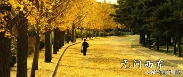 盘点周润发8大经典银幕形象,好看的老片子周润发