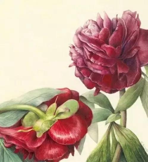 女人如水妻子越柔越旺夫旺家,女人温柔如水才能旺家