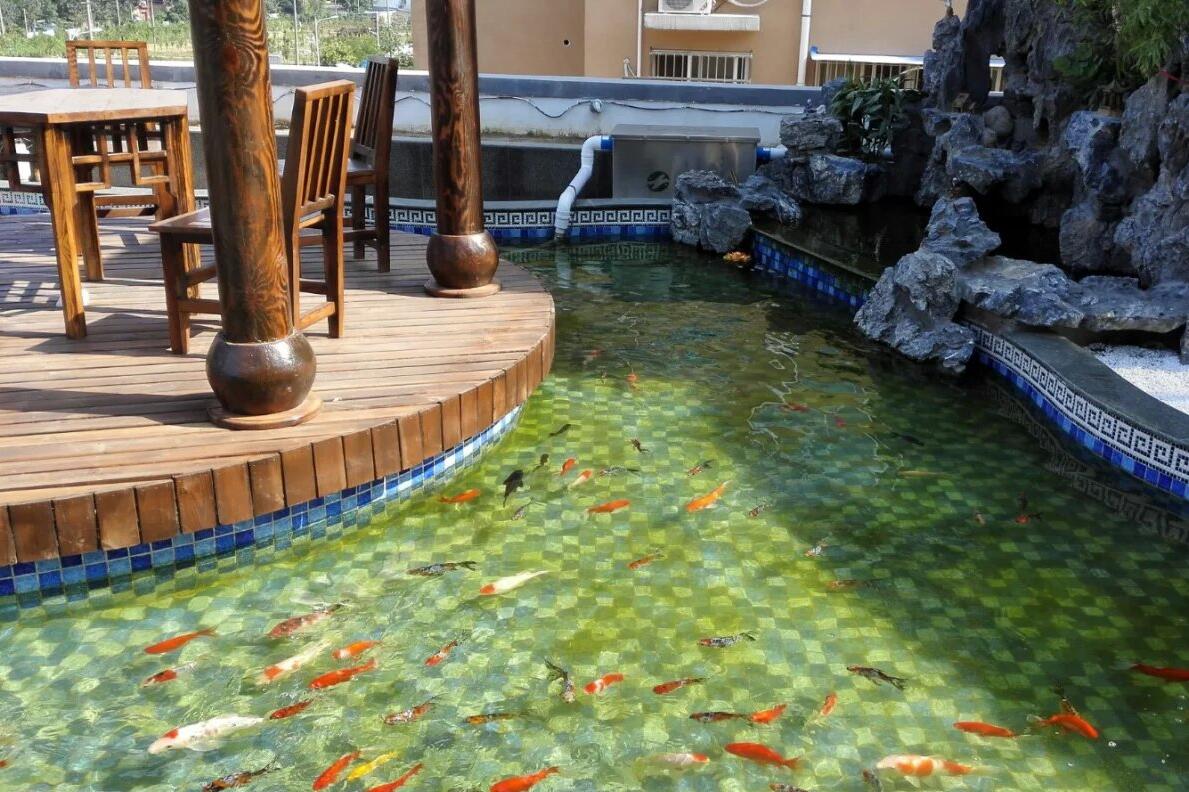 锦鲤鱼池过滤系统五大常用方式,锦鲤鱼池过滤火山石多大的合适