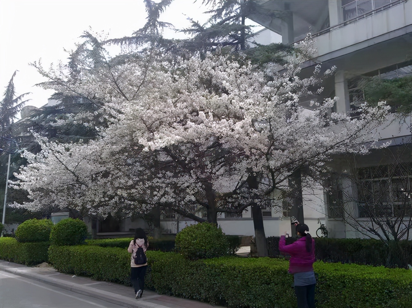 曾经的洛阳,曾经的洛阳第二师范学校