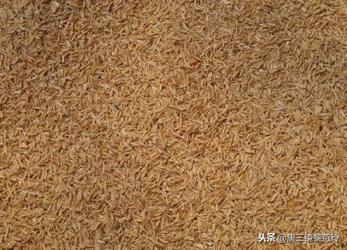 唐三镜酿酒设备效果怎么样,唐三镜酿酒设备价格多少钱一套