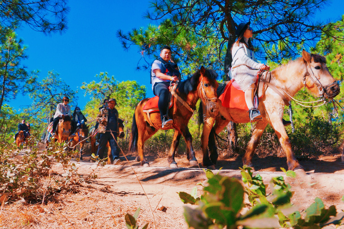 丽江拉市海茶马古道怎么去,丽江拉市海茶马古道线路