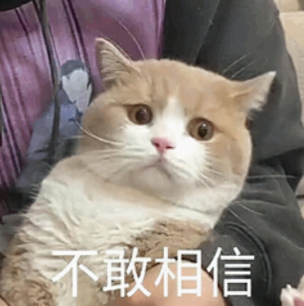 持续三年多的虚假外汇平台诈骗,外汇诈骗平台有哪些