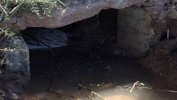 墨西哥人偷渡到美国会被遣返吗,从墨西哥偷渡美国遣返几率