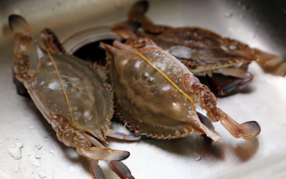 吃蟹注意事项与禁忌,螃蟹虽好但这2种蟹绝不能吃