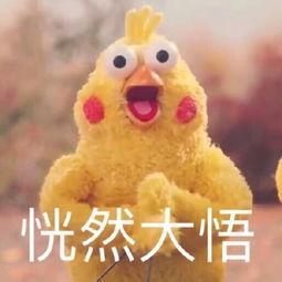 发电用不完的电都去哪了,综合能源小常识